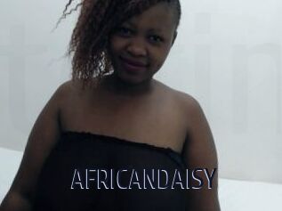 AFRICANDAISY