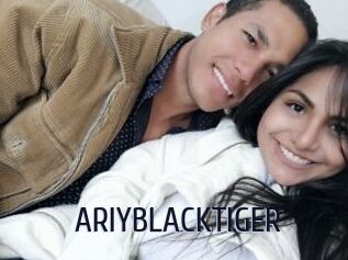 ARIYBLACKTIGER