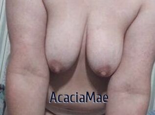 AcaciaMae