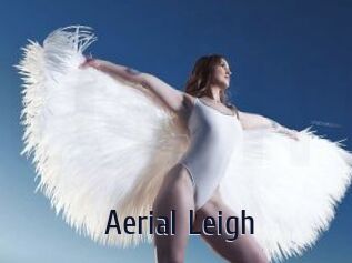 Aerial_Leigh