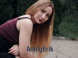 AmilyBrik