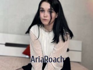 AriaRoach