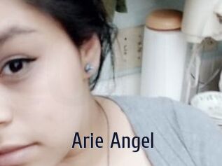 Arie_Angel