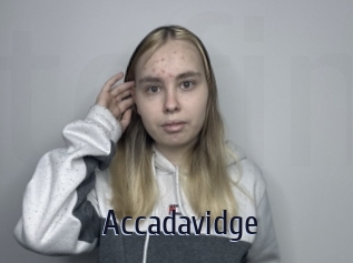 Accadavidge