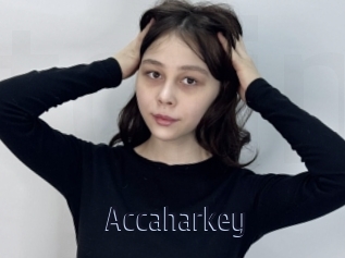 Accaharkey