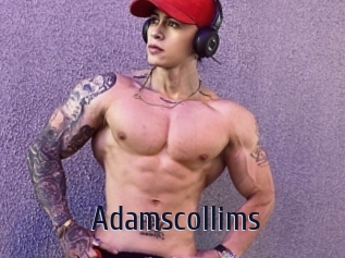 Adamscollims