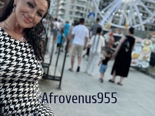 Afrovenus955