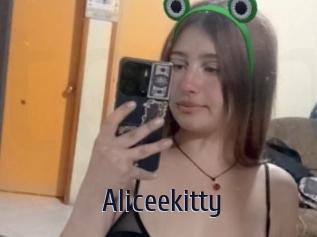 Aliceekitty