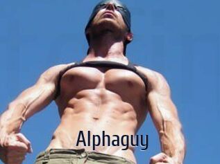 Alphaguy