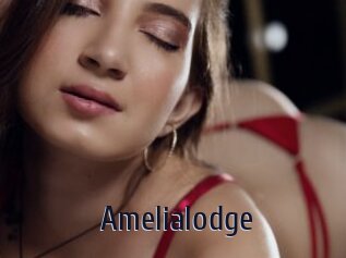 Amelialodge