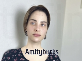 Amityburks