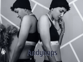 Andyhops