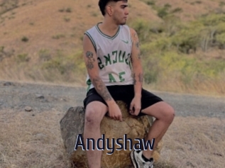 Andyshaw