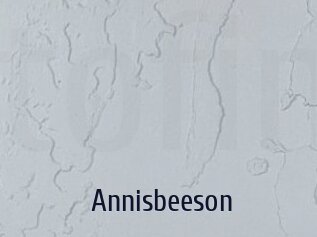 Annisbeeson