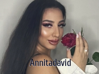 Annitadavid