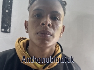 Anthonybigdick