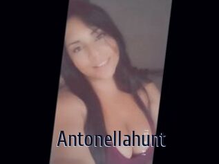 Antonellahunt