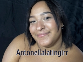 Antonellalatingirr