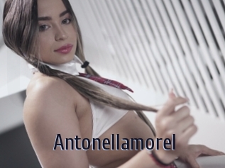 Antonellamorel