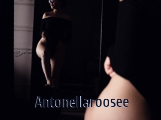 Antonellaroosee