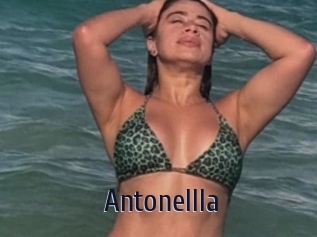 Antonellla