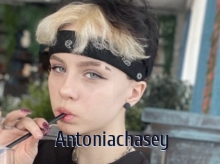 Antoniachasey