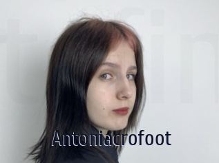 Antoniacrofoot