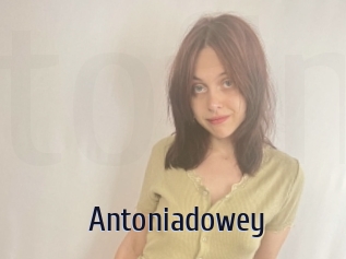 Antoniadowey