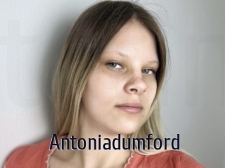 Antoniadumford