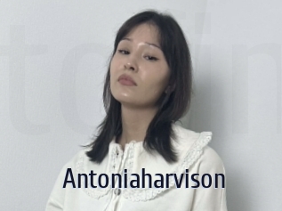 Antoniaharvison