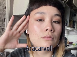 Aracarvell