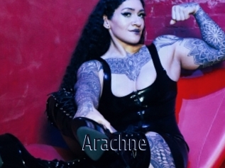 Arachne