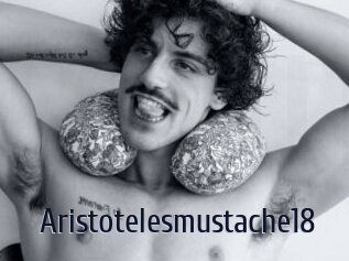 Aristotelesmustache18