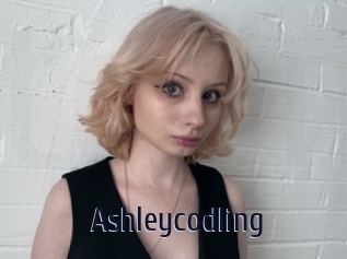 Ashleycodling