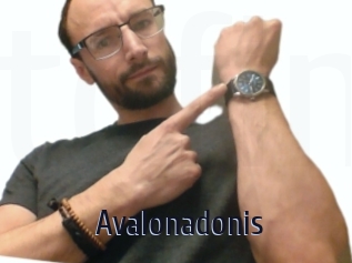 Avalonadonis