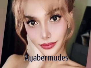 Ayabermudes