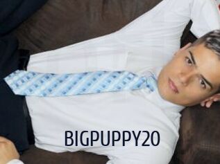 BIGPUPPY20