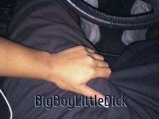 BigBoyLittleDick