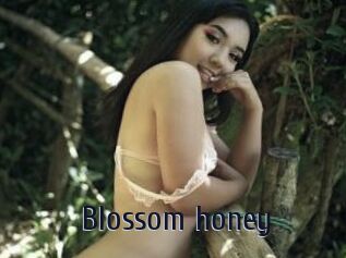 Blossom_honey