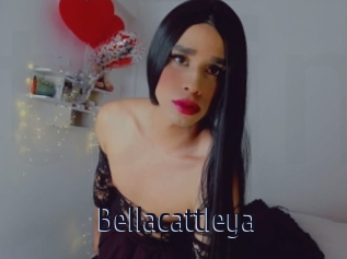 Bellacattleya