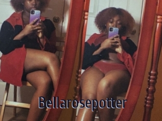 Bellarosepotter