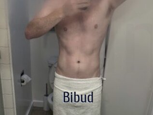 Bibud