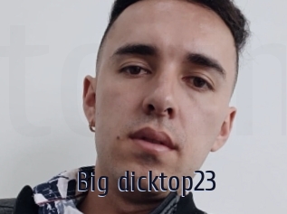 Big_dicktop23