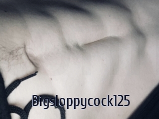 Bigsloppycock125