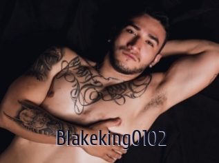 Blakeking0102