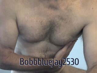 Bobbbluejay2530