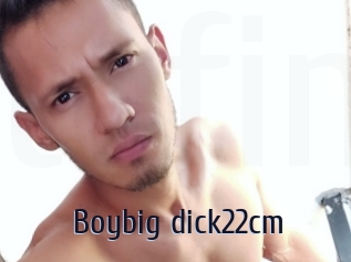 Boybig_dick22cm