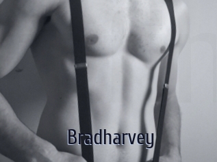 Bradharvey