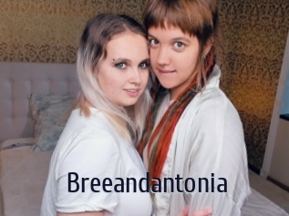 Breeandantonia