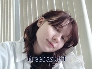 Breebaskett